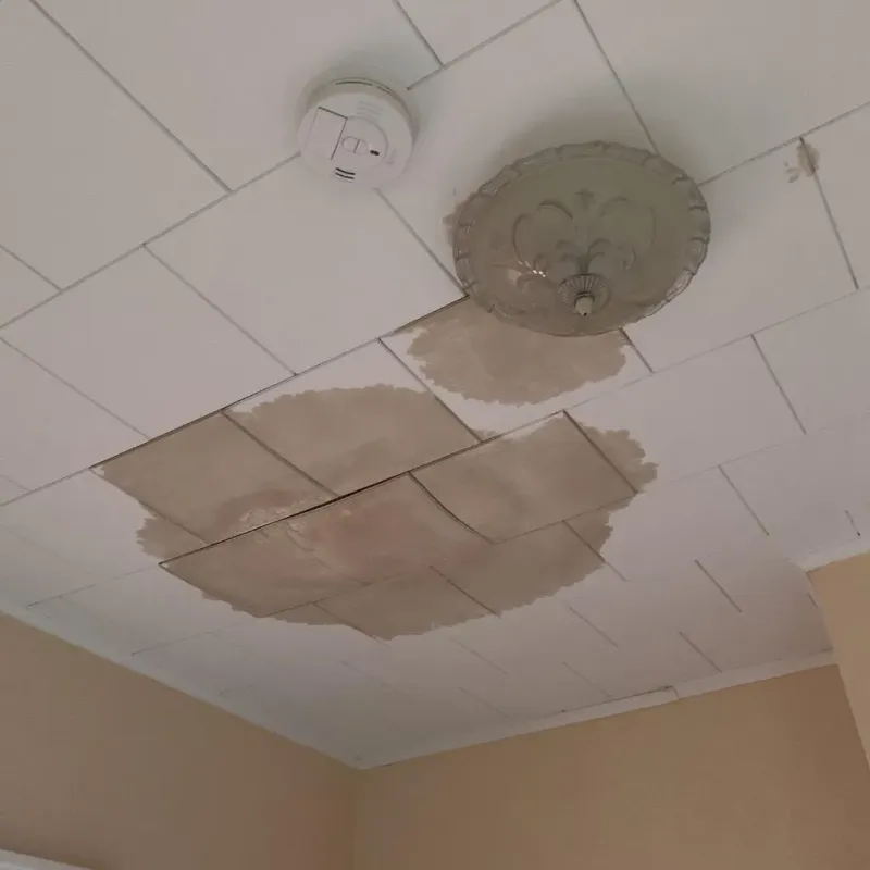 Ceiling Water Damage Repair in Monroe County, WI