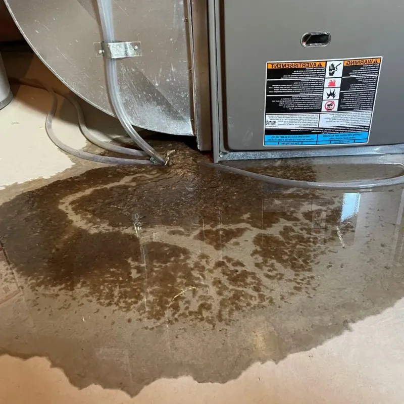 Pipe Burst and Leak Restoration in Monroe County, WI