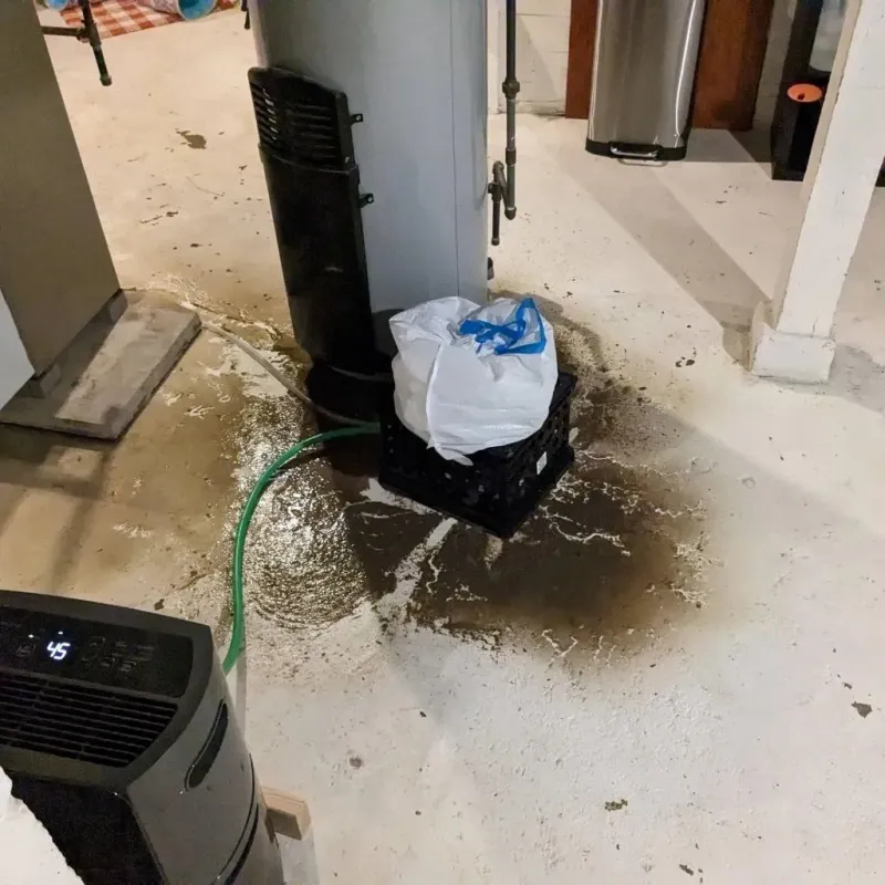 Sewage Backup Cleanup Service in Monroe County, WI